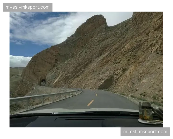 准入评估实行-负面清单+一票否决-，场馆需6000-8000座容量